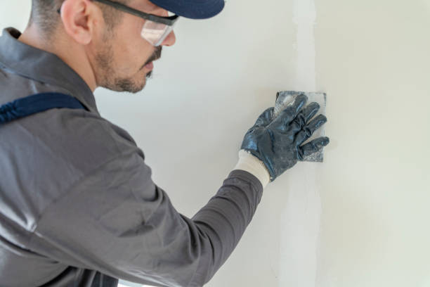 Best Mold Removal for HVAC Installations  in Whitewater, KS