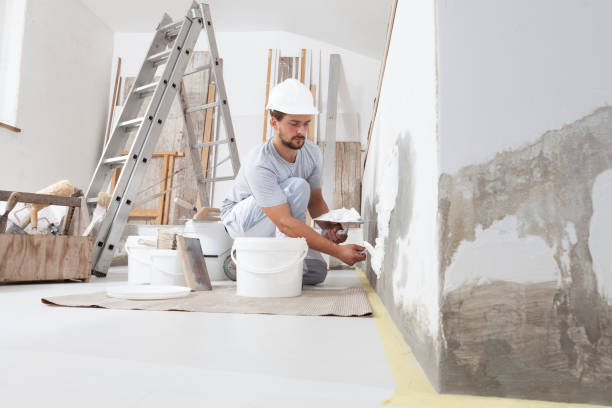 Mold Documentation for Insurance Claims in Whitewater, KS