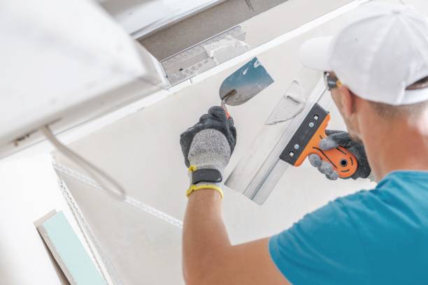 Best Mold Damage Restoration  in Whitewater, KS